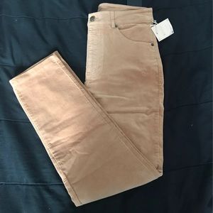 Tan Highwaist Indie Pants